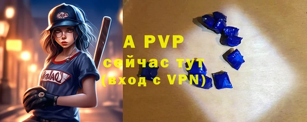 a pvp Белокуриха