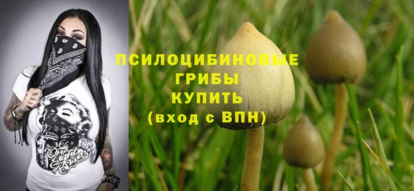 прущая мука Белоозёрский