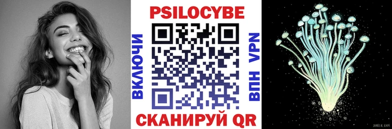 Псилоцибиновые грибы Psilocybine cubensis  даркнет как зайти  Новороссийск 